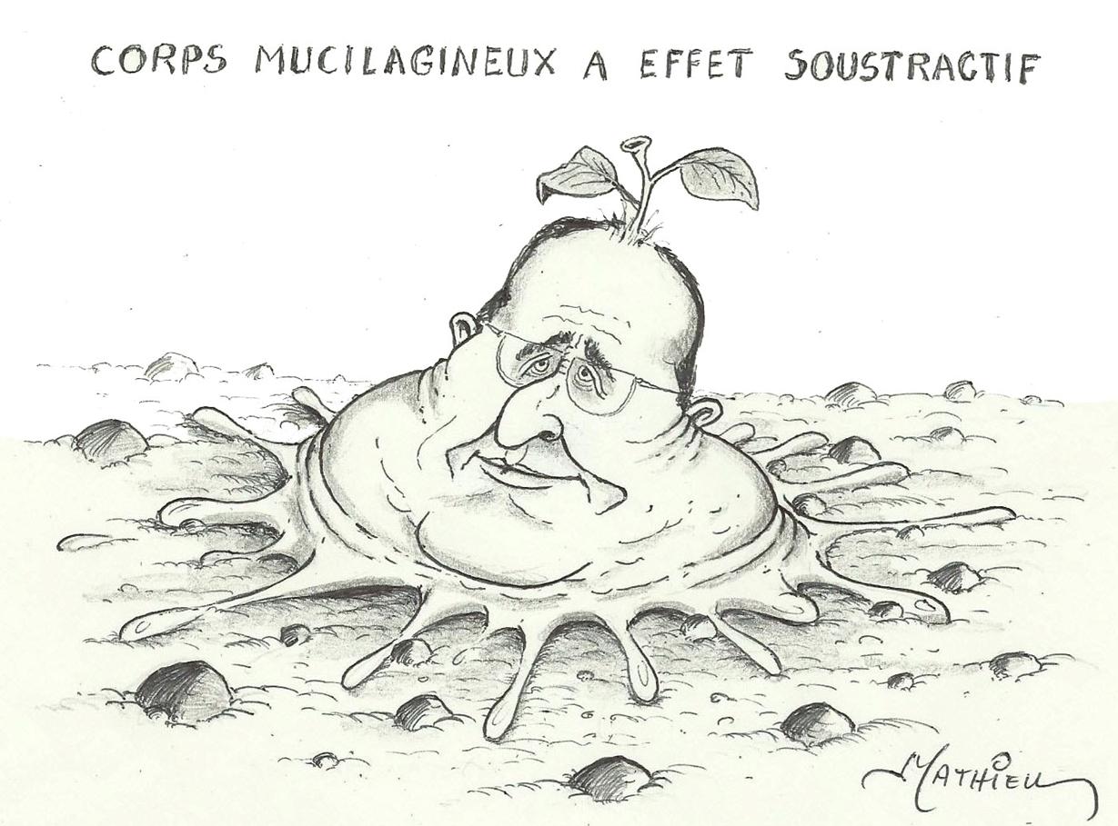 Hollandepoire