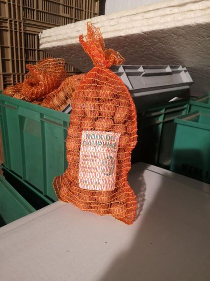 vente de noix , au profit du maillon de Grenoble de la Chaine des Savoirs