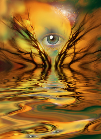 28559728-oeil-et-branches-d-arbre