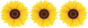 3Fleurs p ft