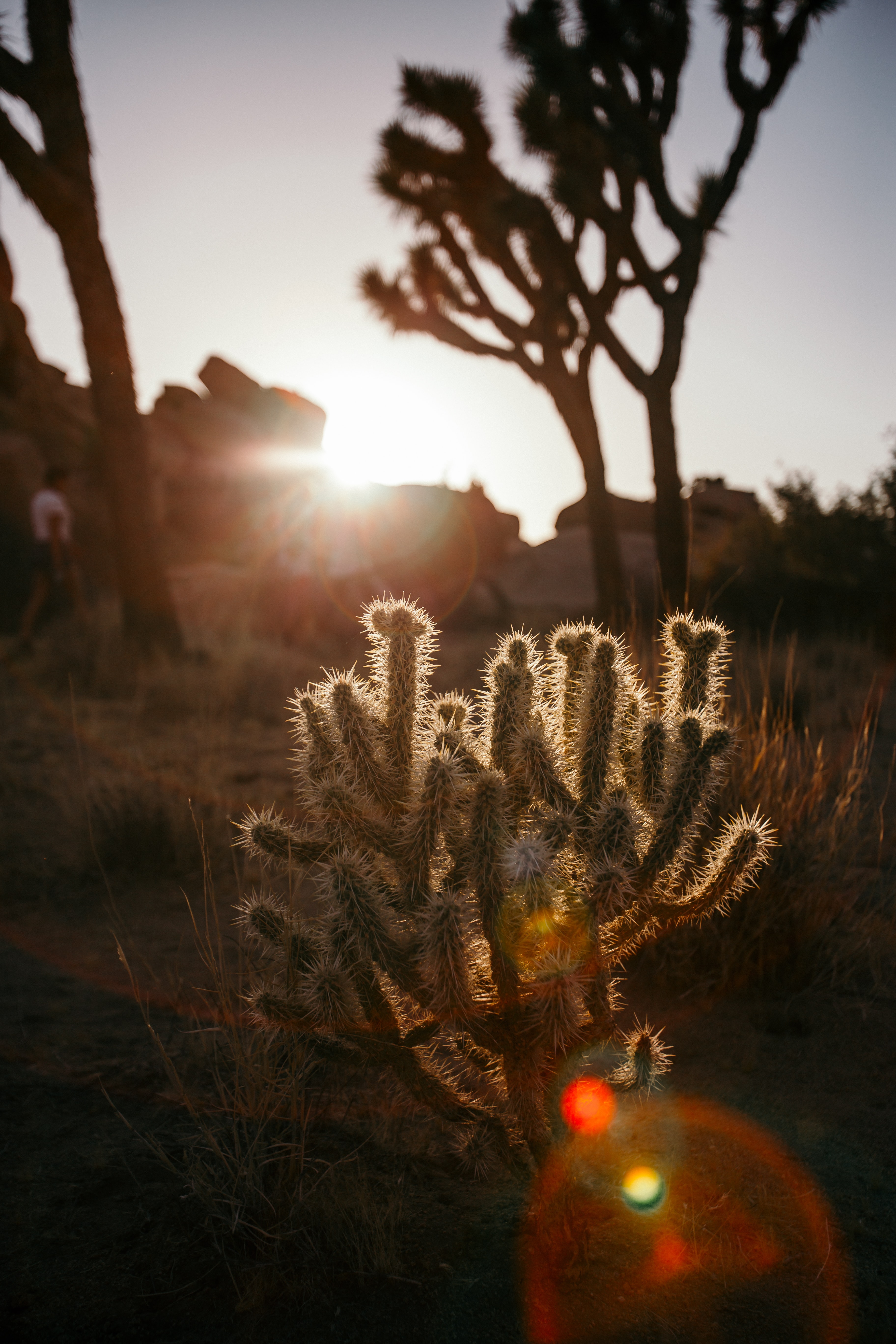 Luke-bender-2BsgN5Km6Zg-unsplash