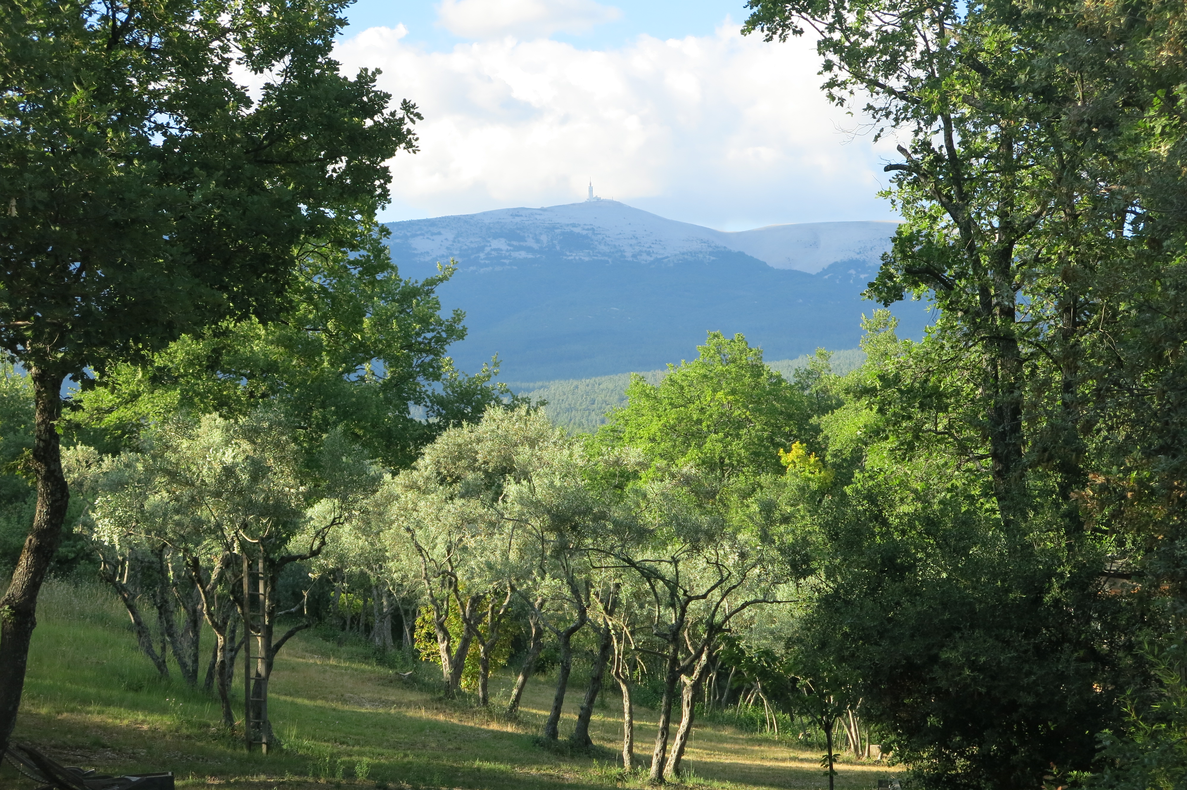 Vue du jardin / view from the garden