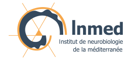 Logo-Inmed