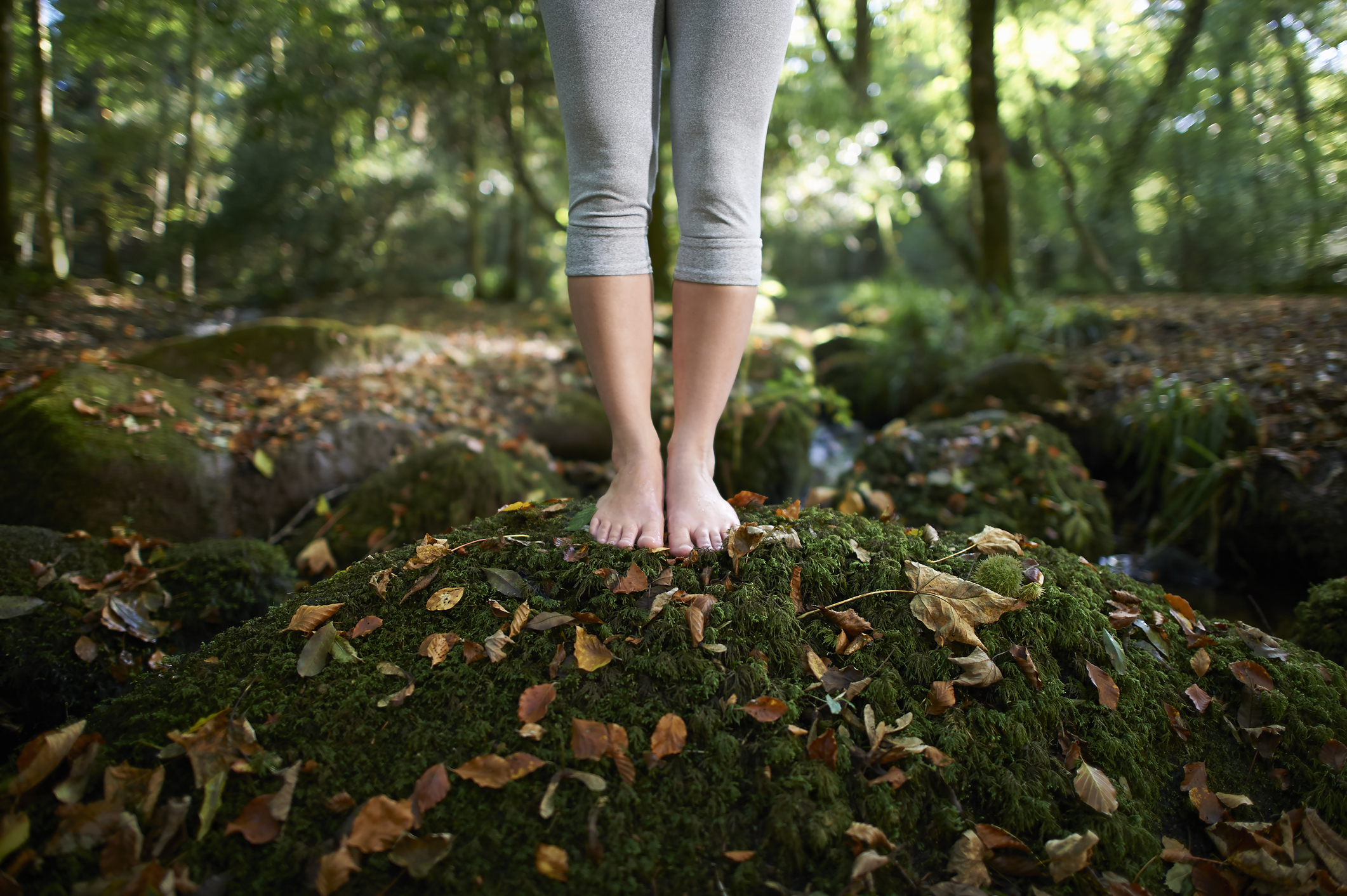 Science-pourquoi-la-nature-nous-soigne-et-nous-rend-heureux