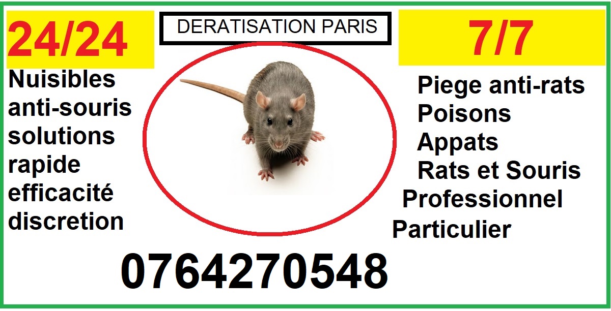 Dératisation Paris 
