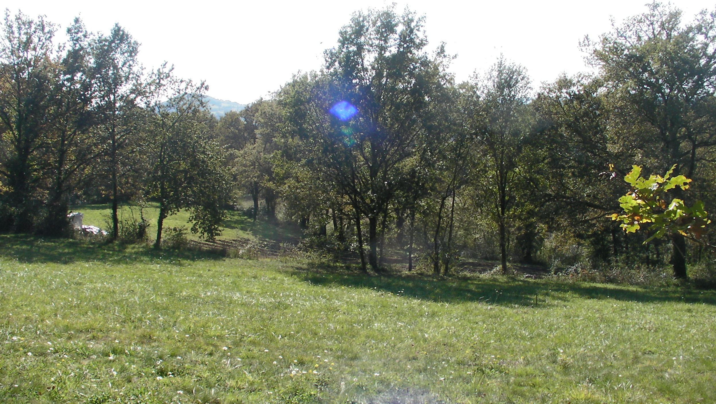 SANY0019