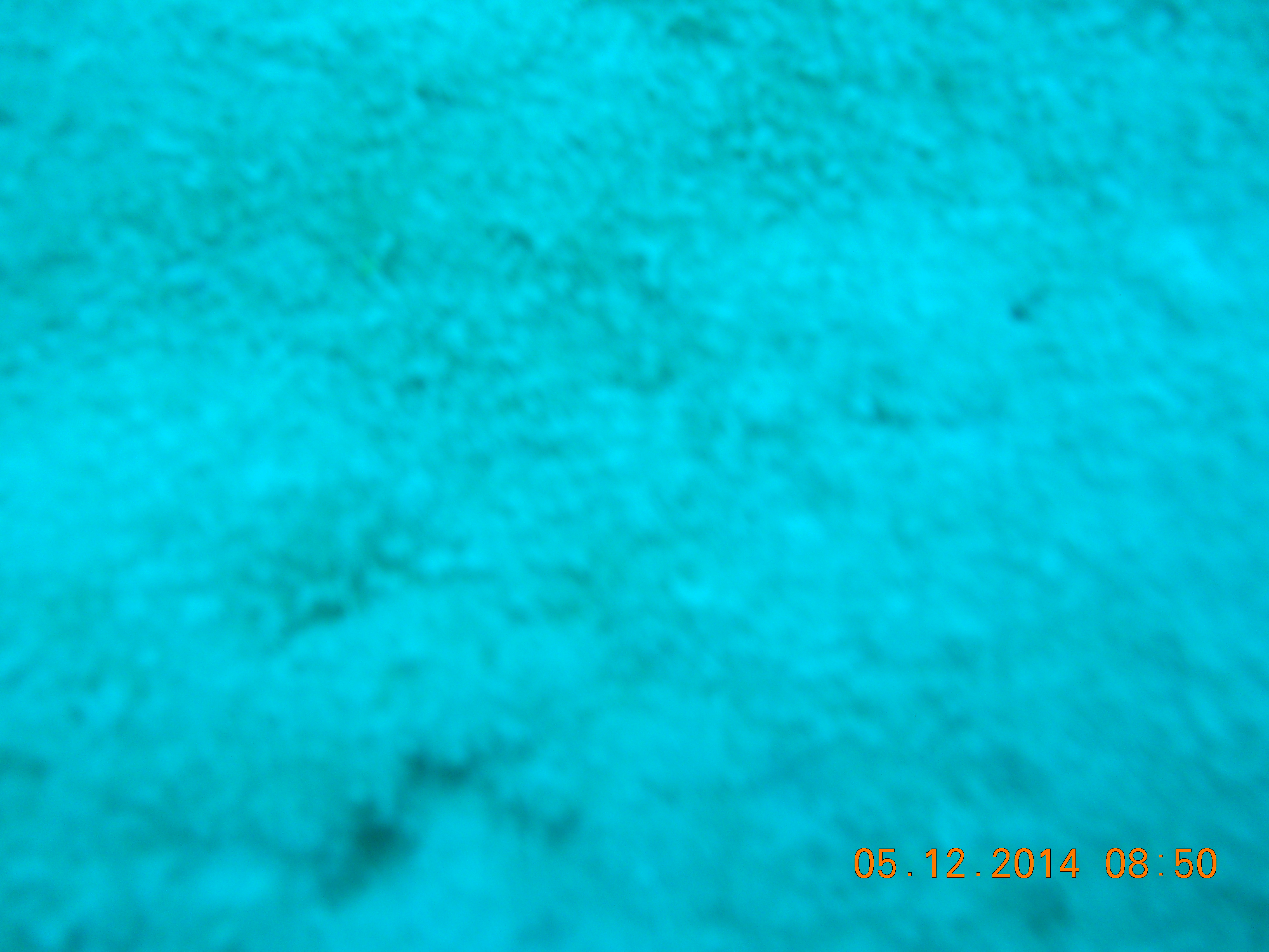Dscn3727