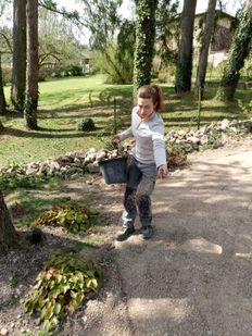 Chantier participatif et coaching jardin. 
Semis de prairie fleurie mellifère.