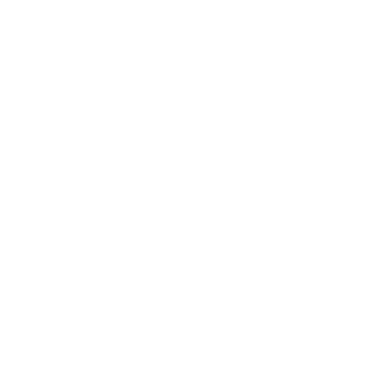 Logo VT blanc gras Plan-de-travail-1