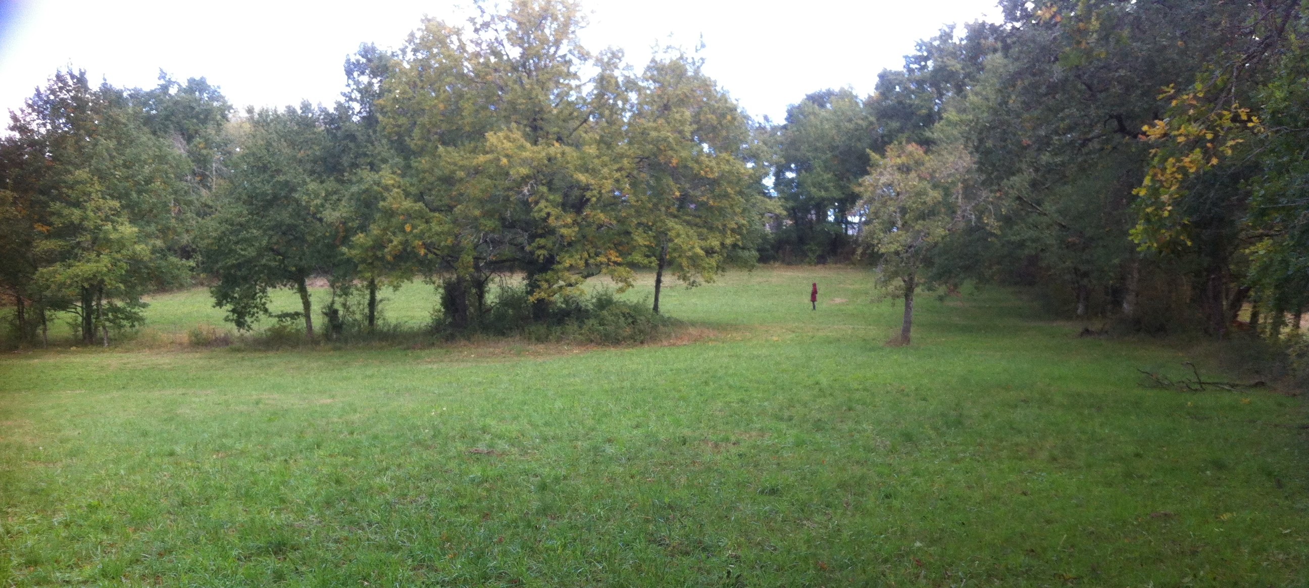 Photo-6