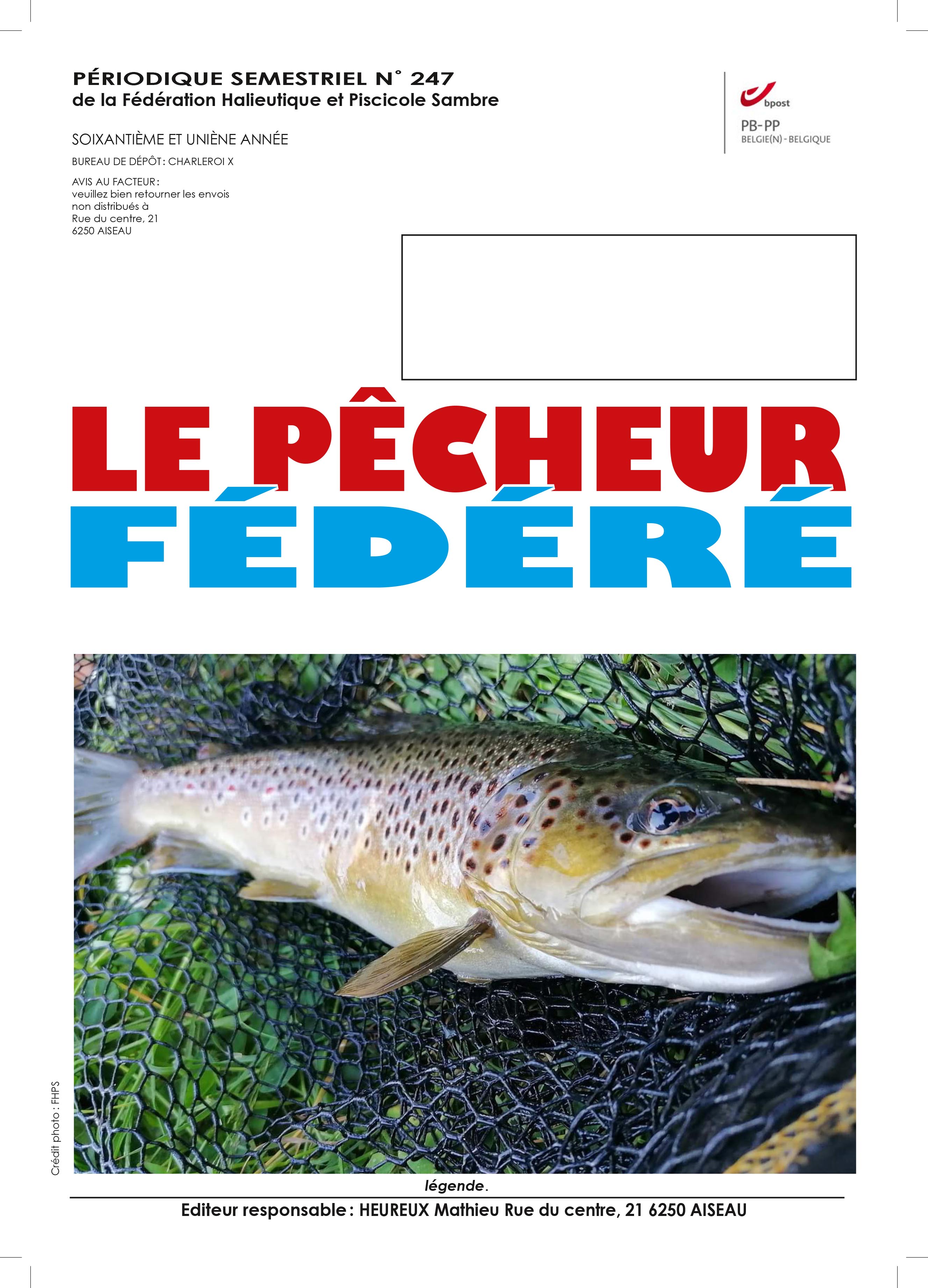 P-F-MAI-247-2021-1