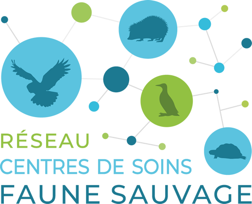 Logo-reseau-centres-de-soins-faune-sauvage