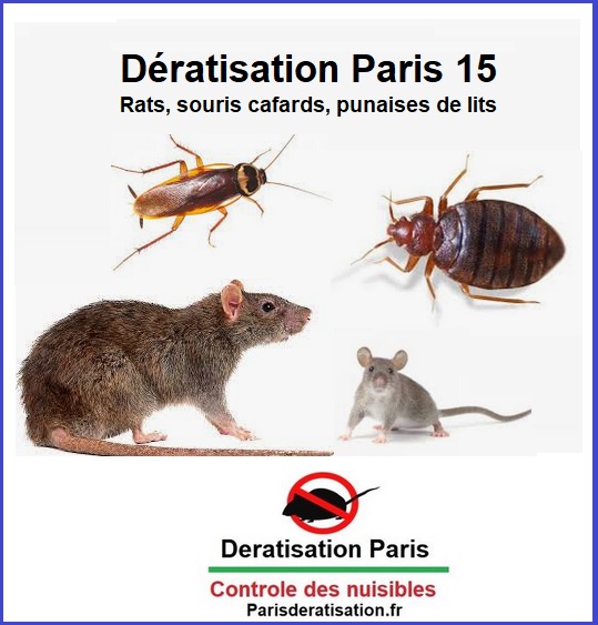 dératisation paris 15