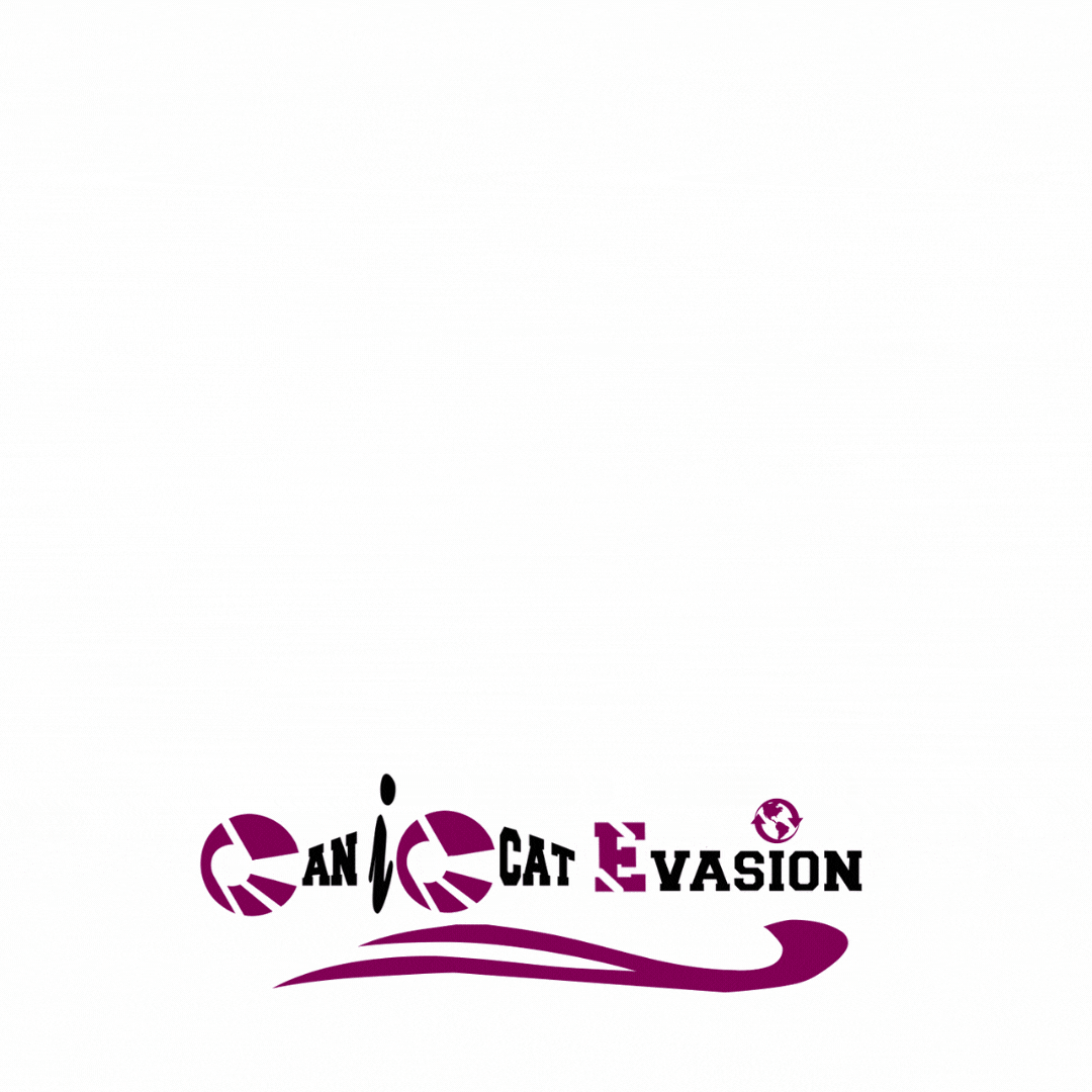 Canicat-et-animalement-votre-gif