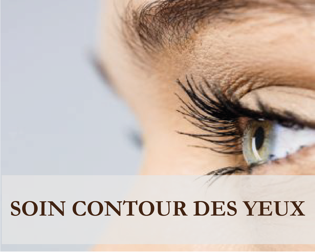Plan-de-travail-1