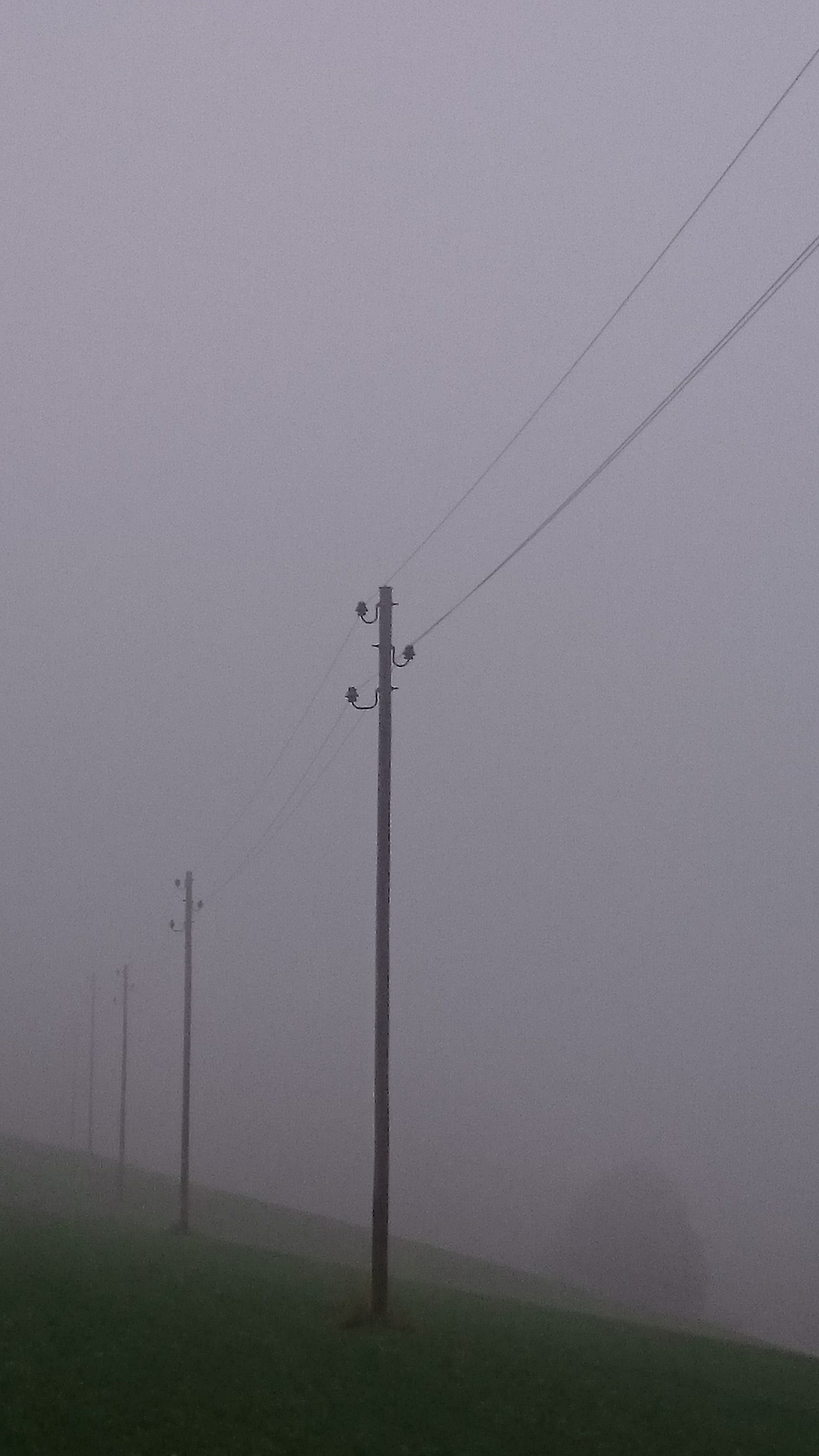 DSC 0051