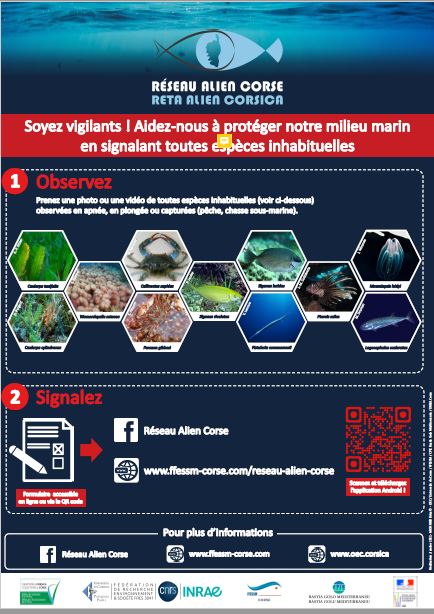 Affiche-alien-2021