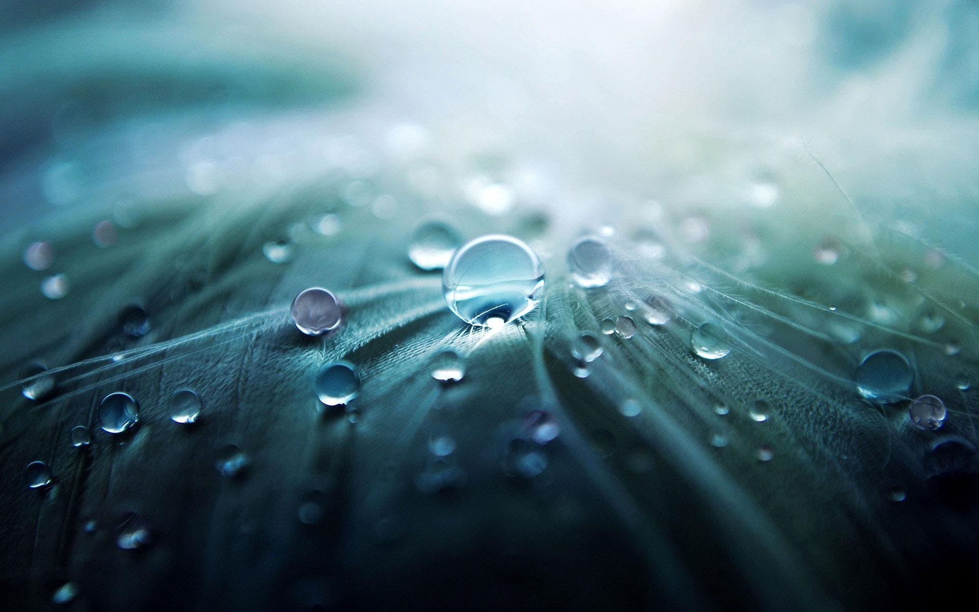 Eau dynamisée