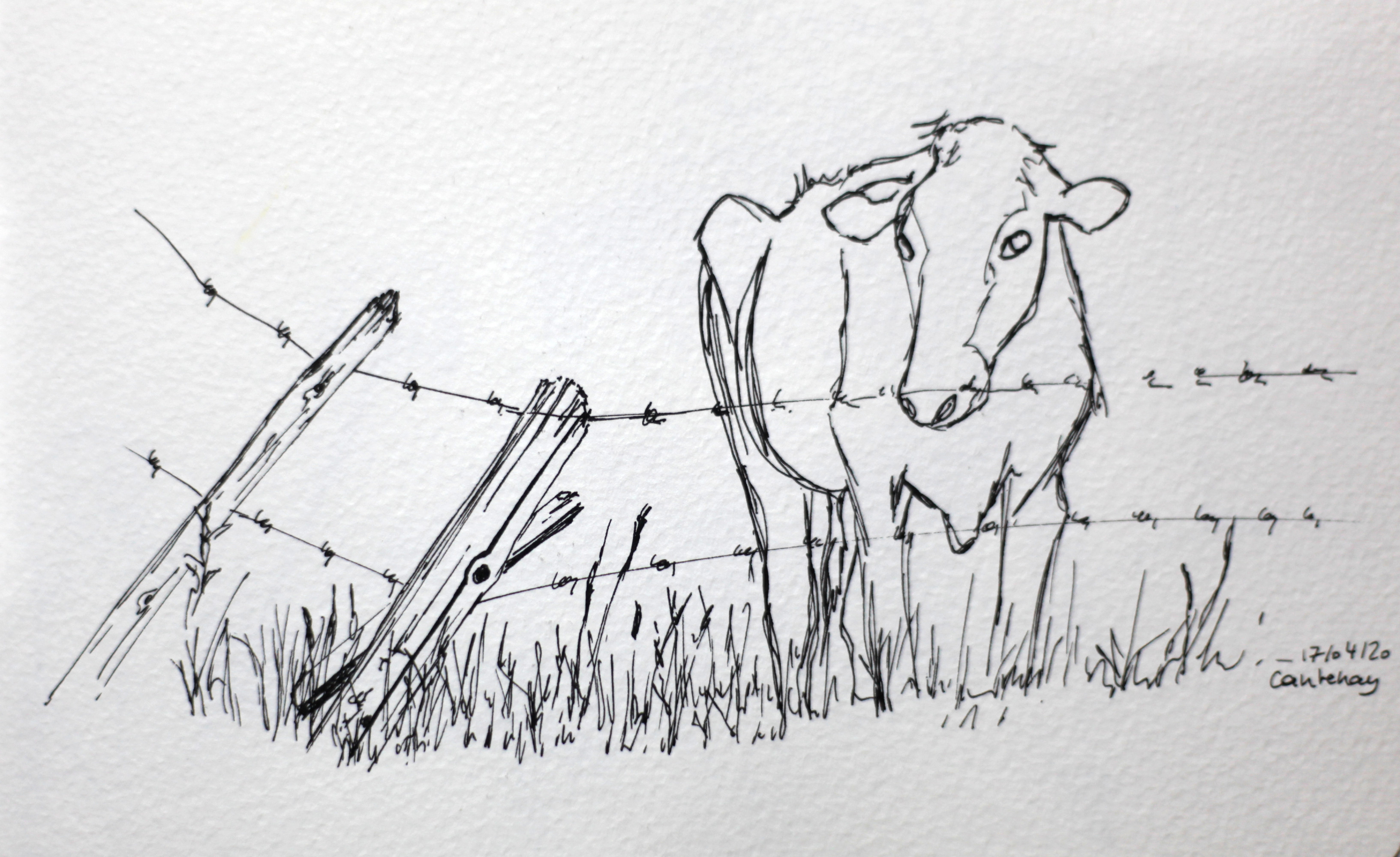 Le chemin des vaches