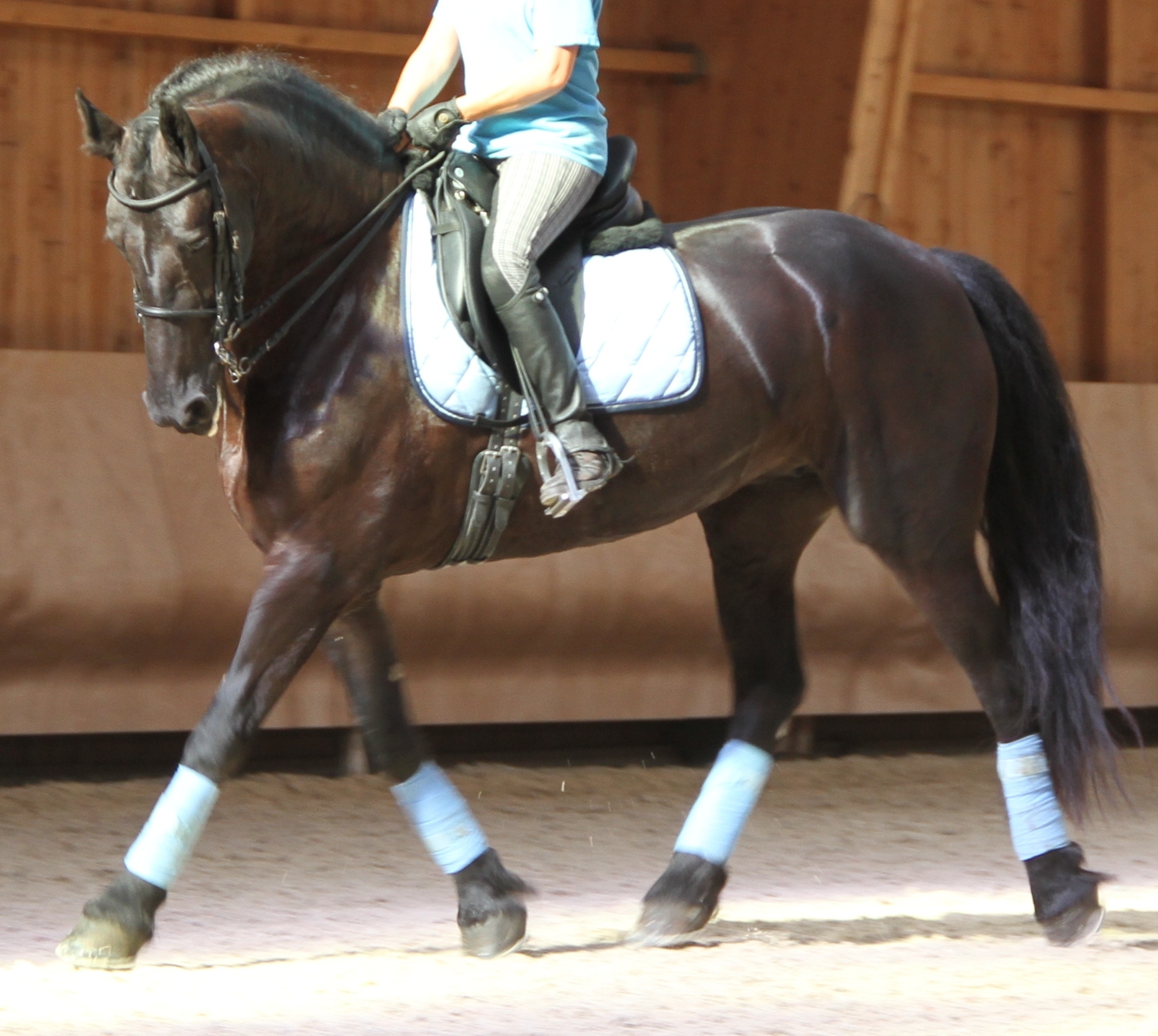 Odile-2-004