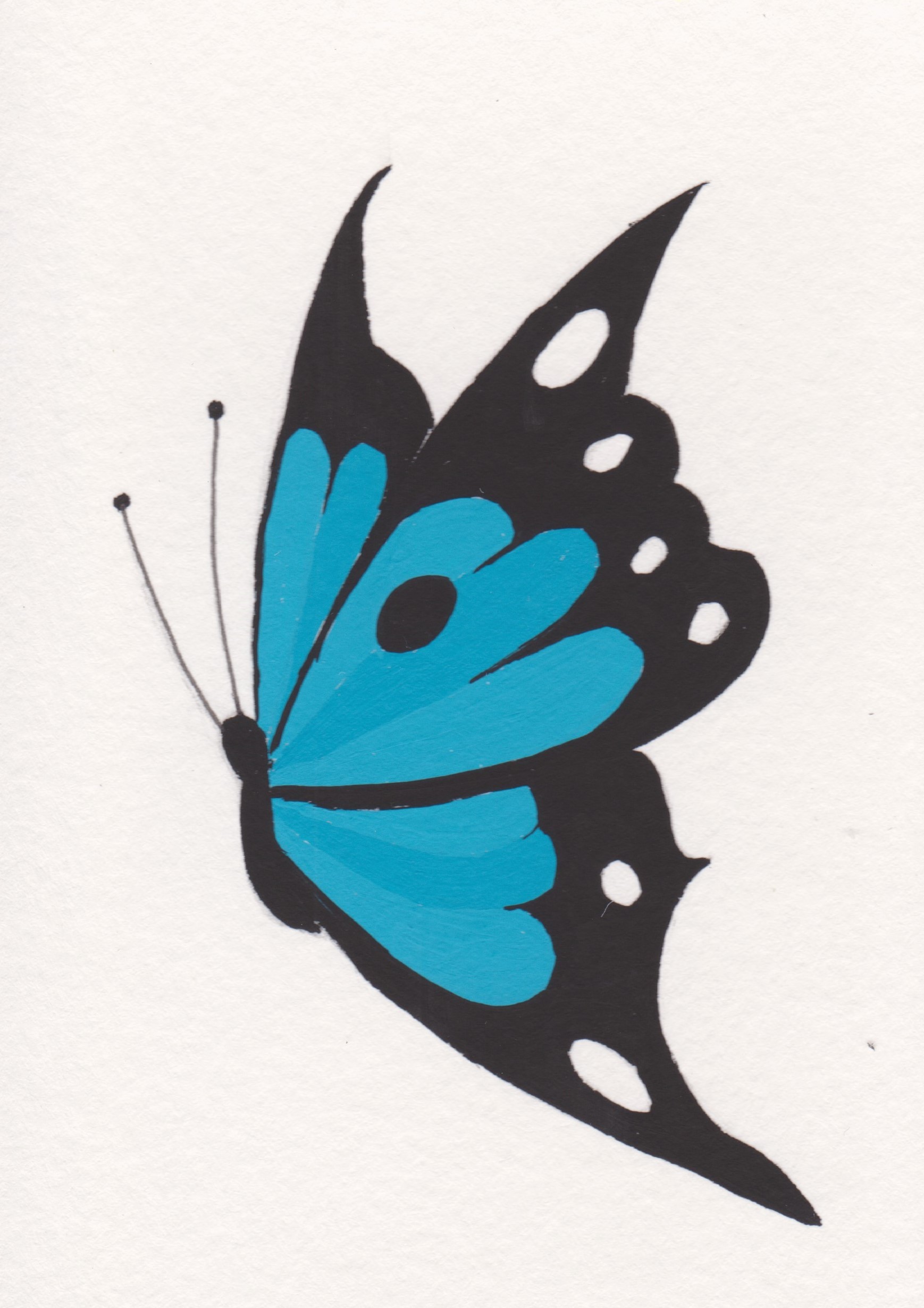 Papillon