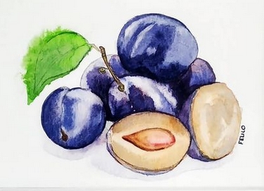 Prunes