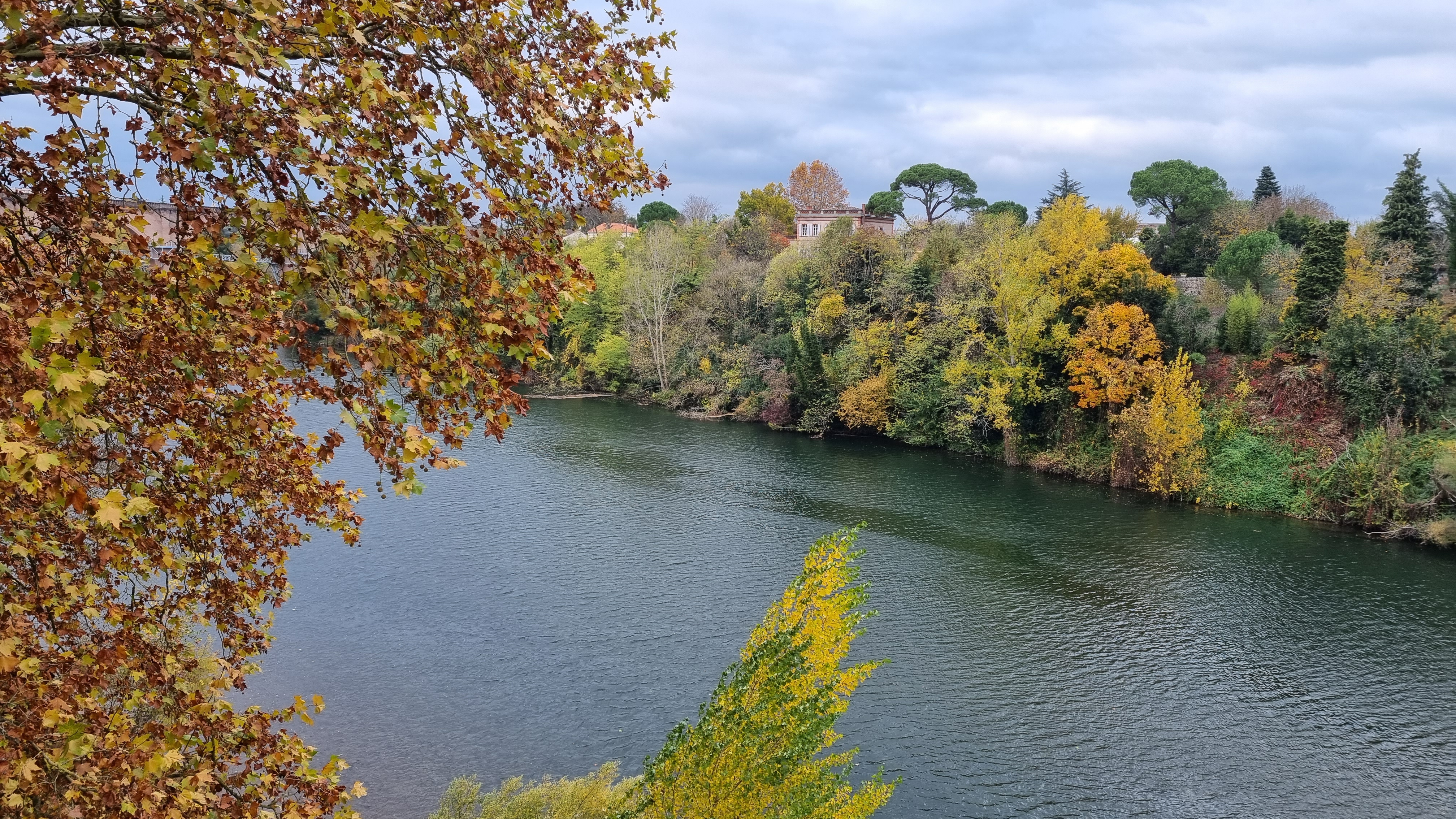 20211117 toulouse lautrec 14 