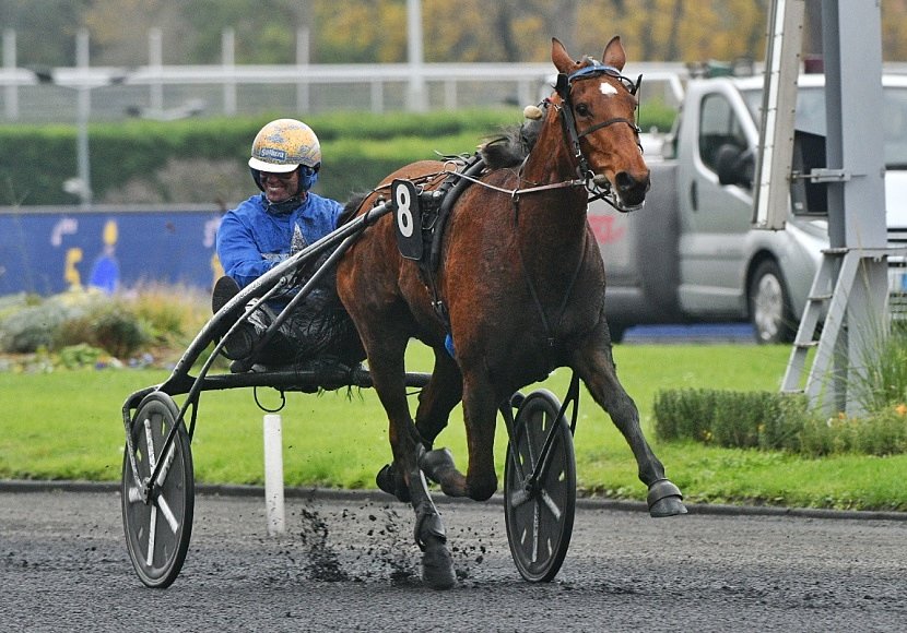 Gunilla d atout reine du corta