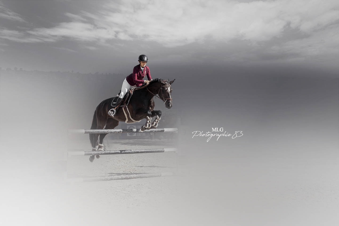 Shooting photo equeste equin 83 var mlg photographie 83