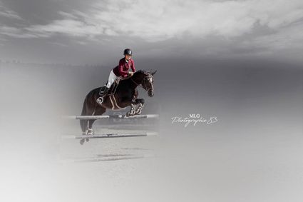 Shooting photo equeste equin 83 var mlg photographie 83