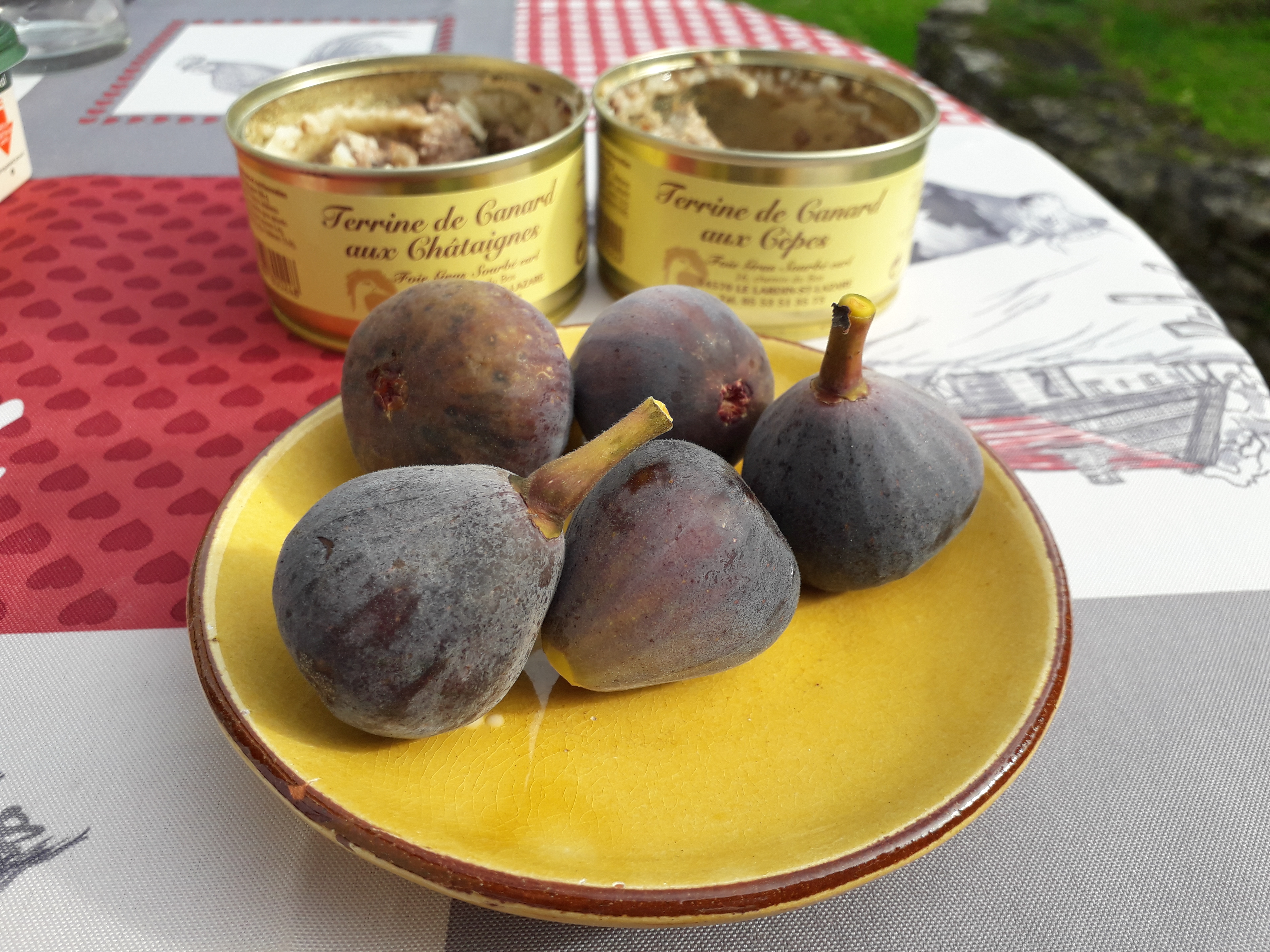 Figues en octobre 21