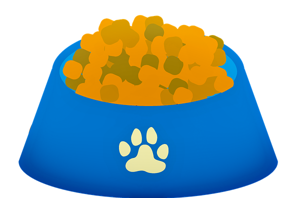 Croquettes-chat