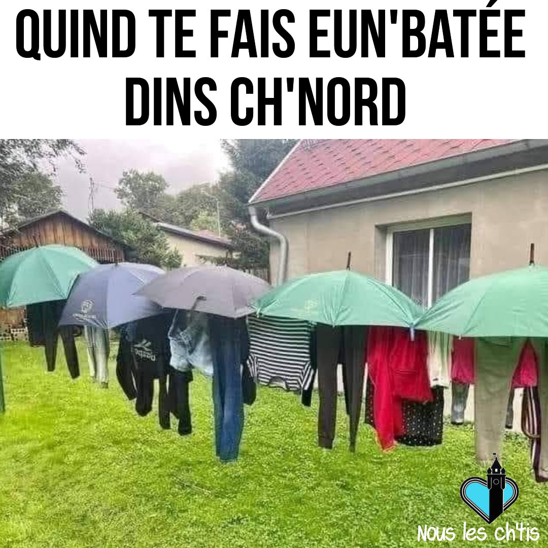 Seche-linge-du-Nord