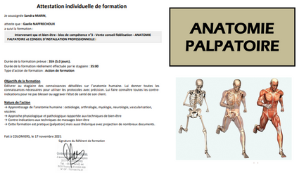 Certificat attestation de formation anatomie palapatoire 