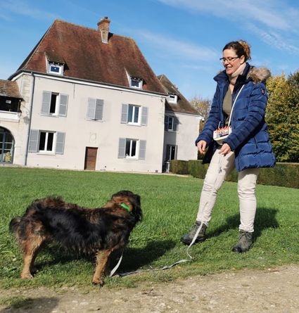 Lady chien apprentissage clicker training valerie cantaloube comportementaliste canin