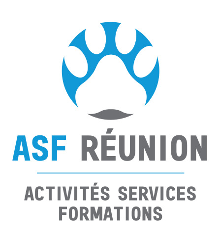 Logo-web