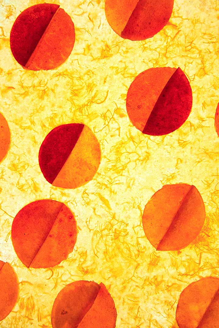 Abricots