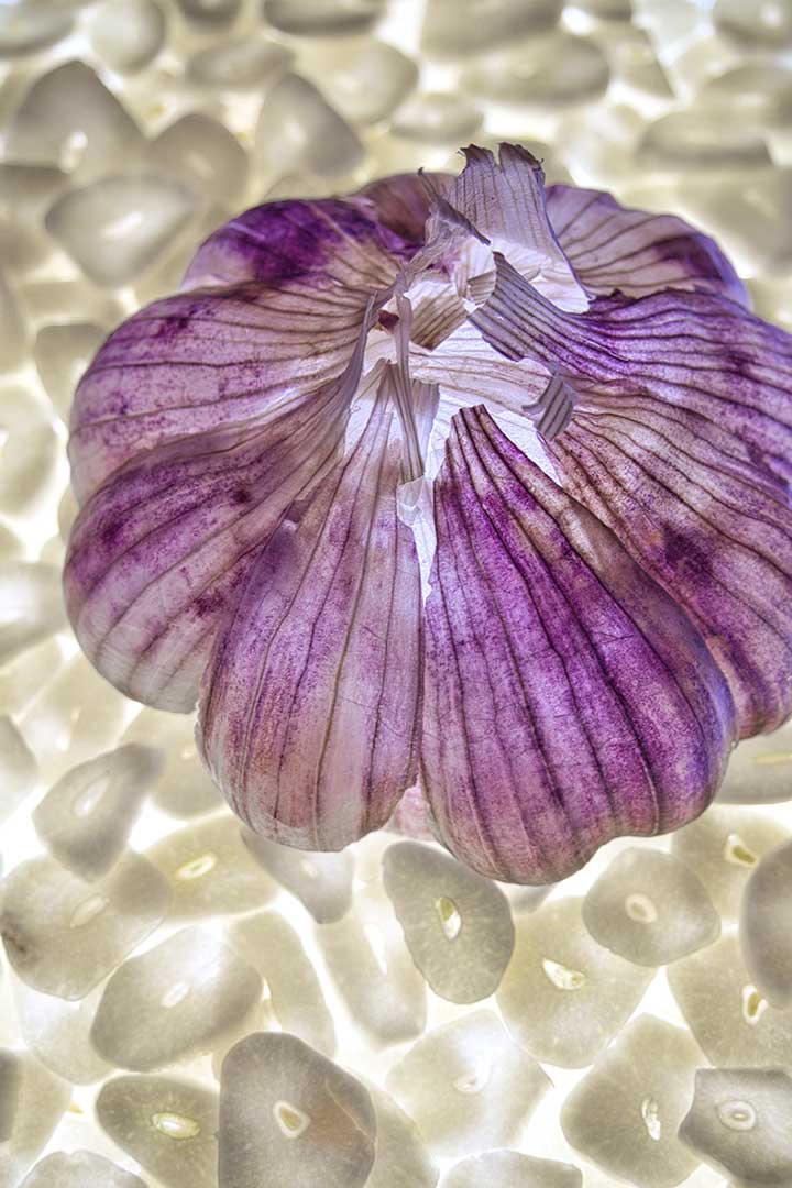 Ail violet2