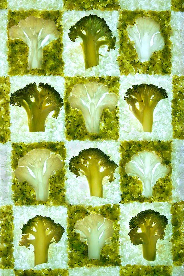 Brocolis et chouxfleurs