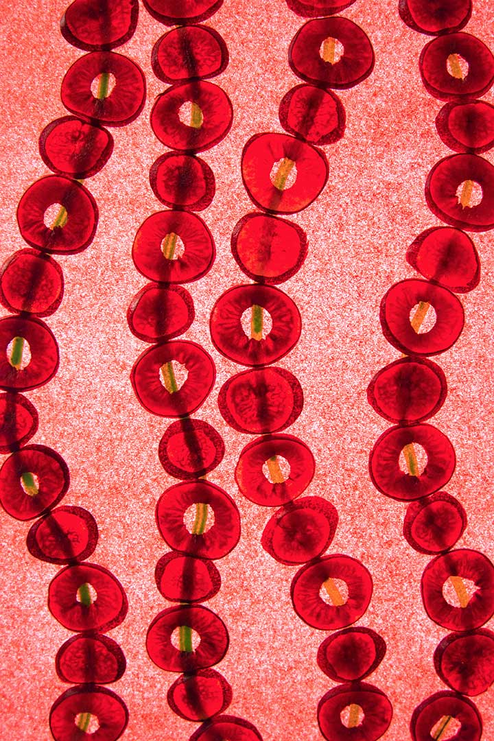 Cerises