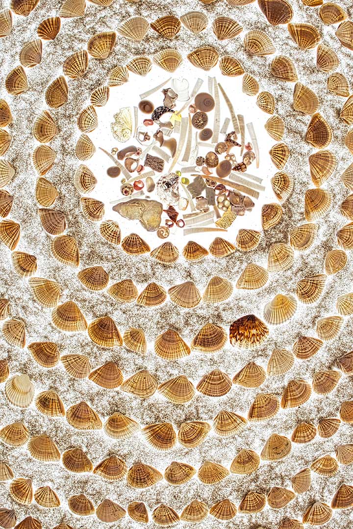 Coquillages