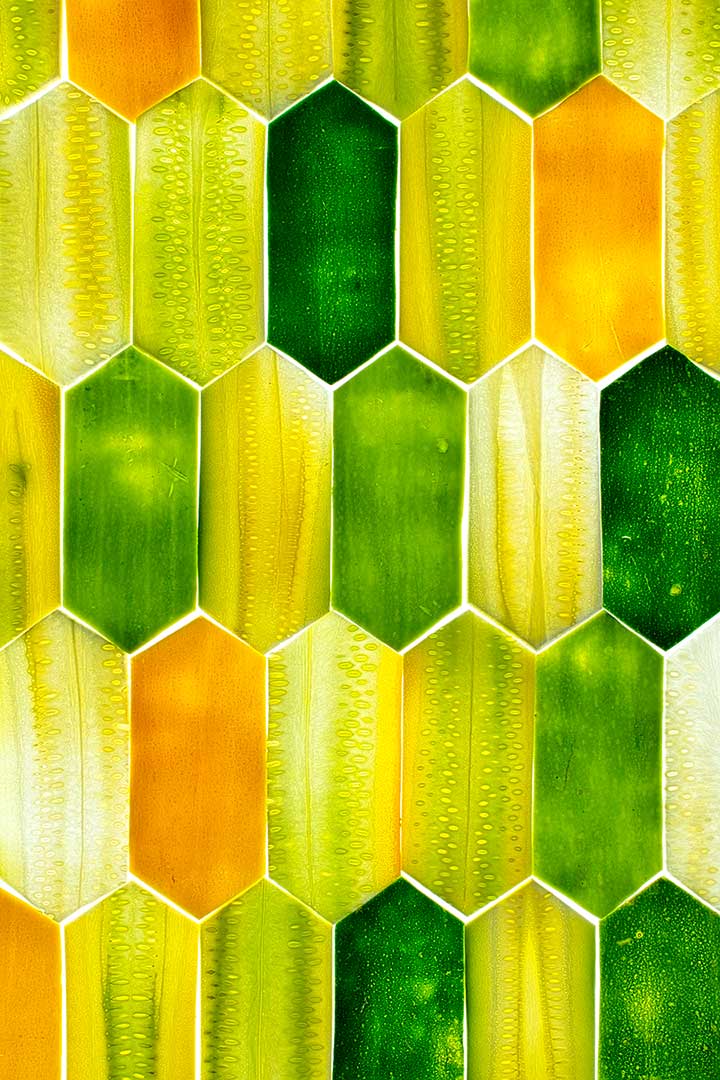 Courgettes