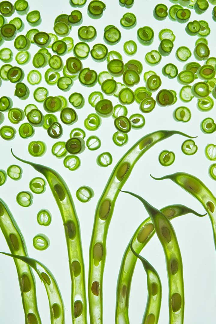 Haricots verts