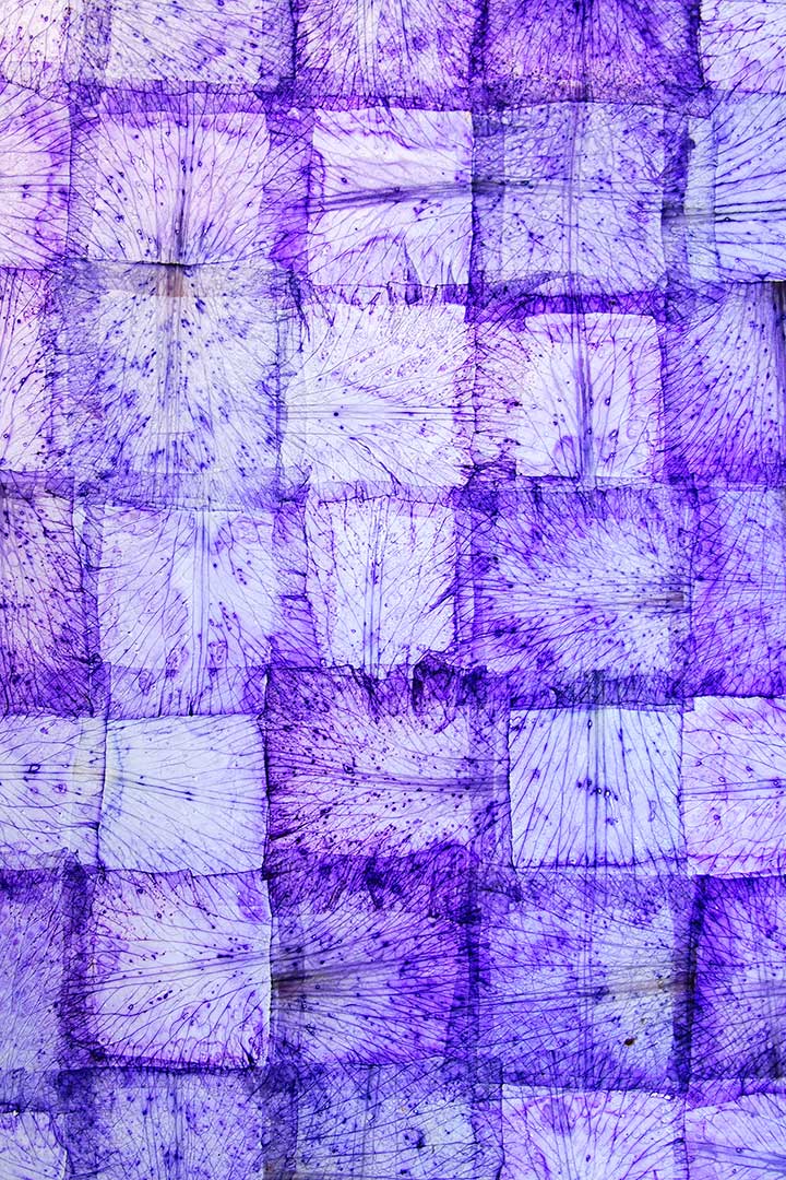 Iris carres