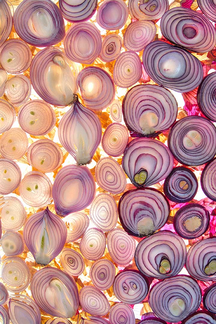 Oignons roses violets
