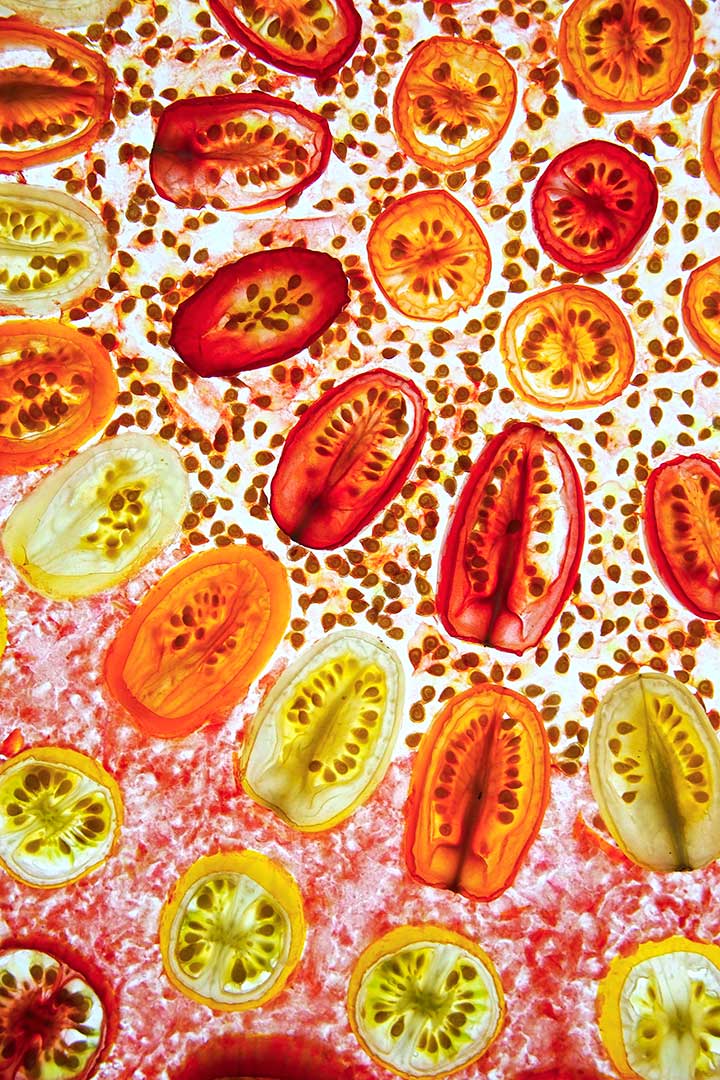 Tomates cerises
