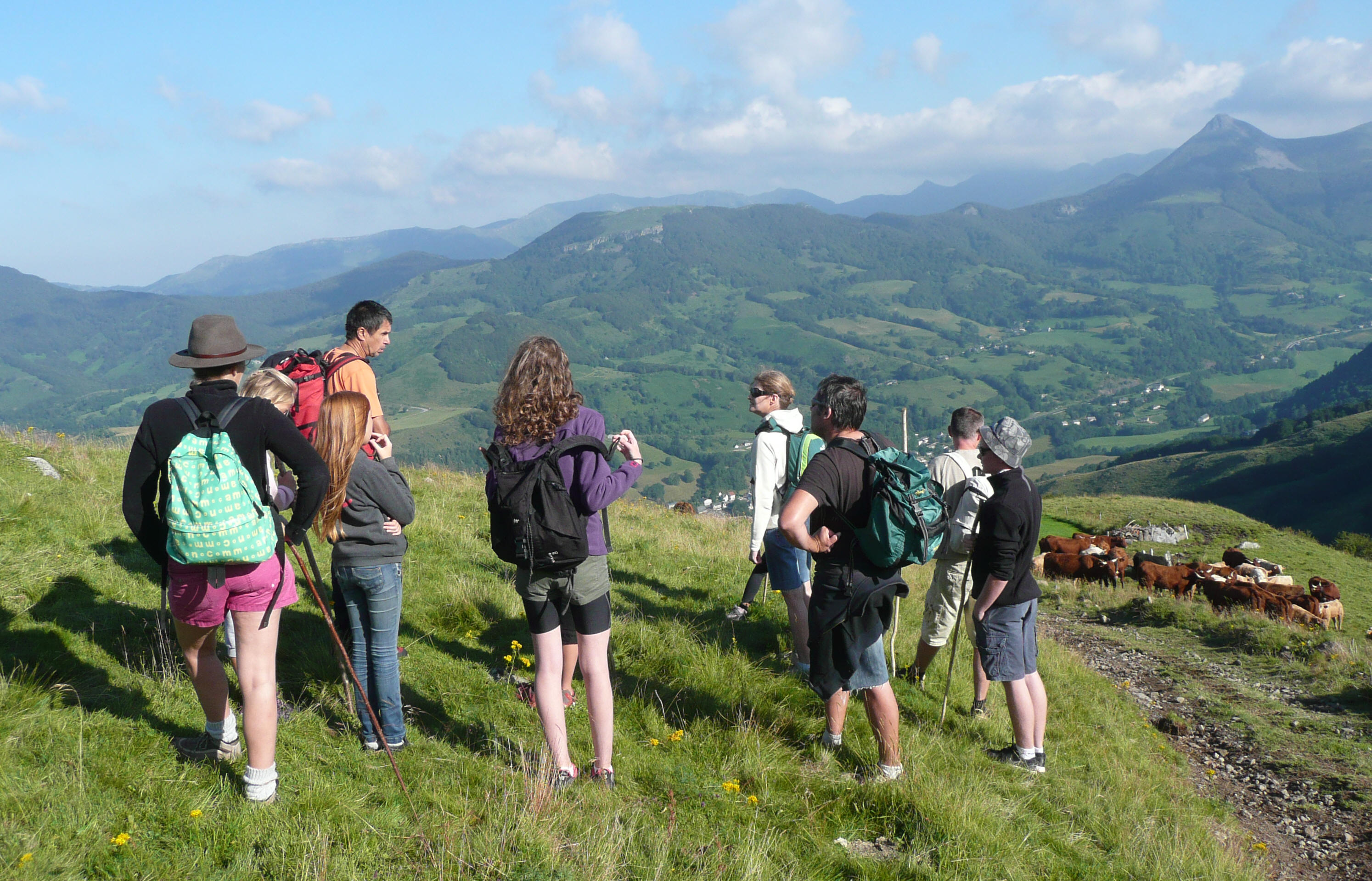 Gite chalet buron auvergne cantal groupe bernard