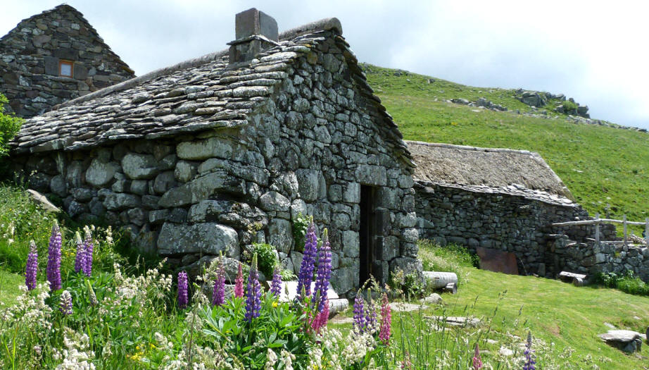 Gite chalet buron cantal auvergne fv lupins et facades