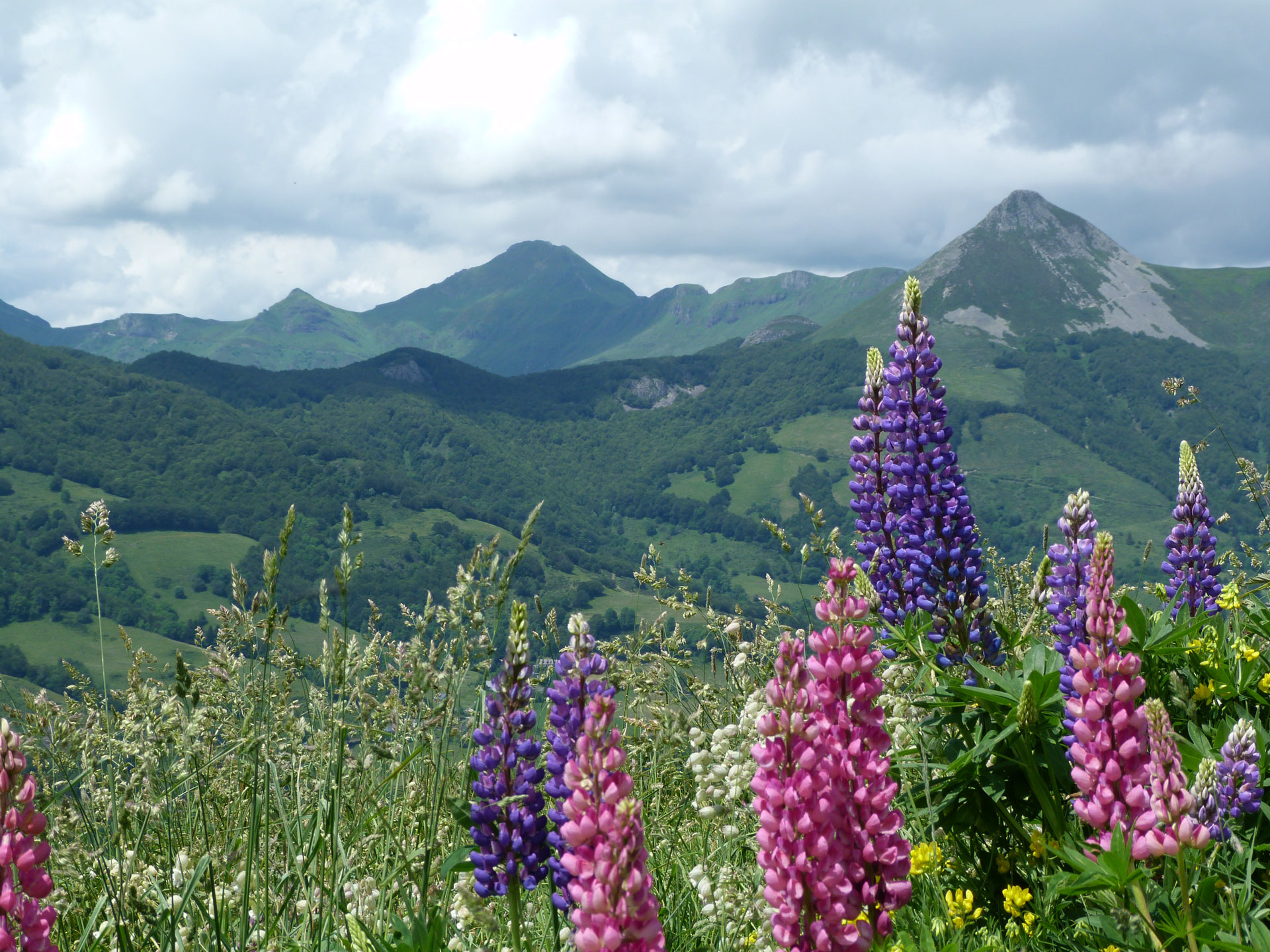 Gite chalet buron cantal auvergne fv lupinsetgriou