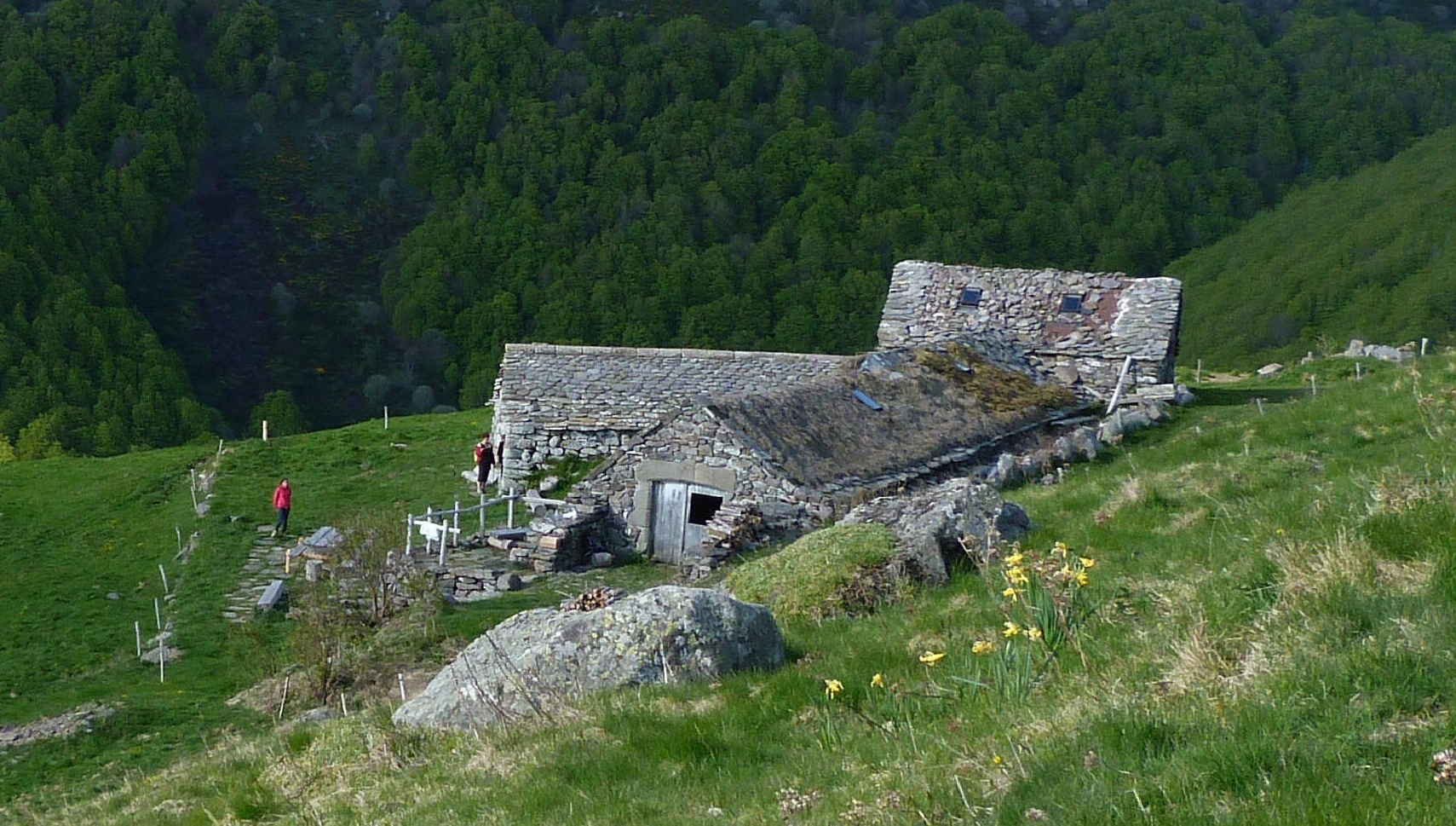 Gite chalet buron cantal auvergne buron ensemble vu h recadre